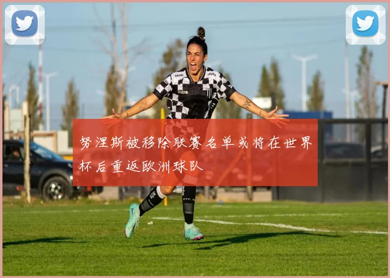 努涅斯被移除联赛名单或将在世界杯后重返欧洲球队