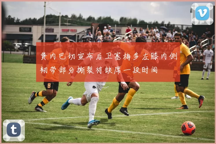 费内巴切宣布后卫塞梅多左膝内侧韧带部分撕裂将缺席一段时间